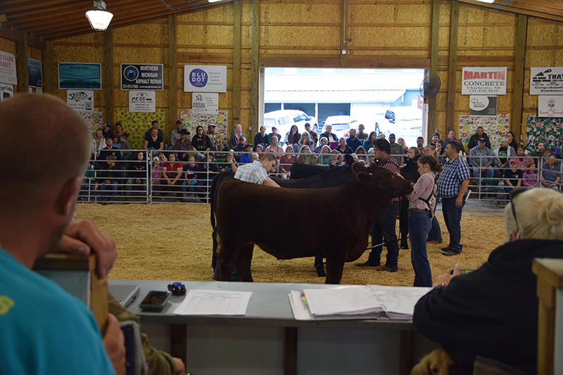 A crowd sat alongside the showing area during the judging of livestock at the Emmet-Charlevoix County Fair on Aug. 23, 2023.